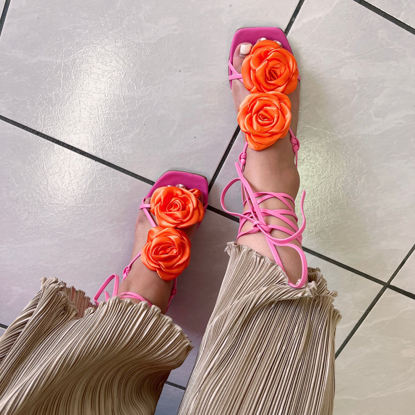 Camelia Rosa