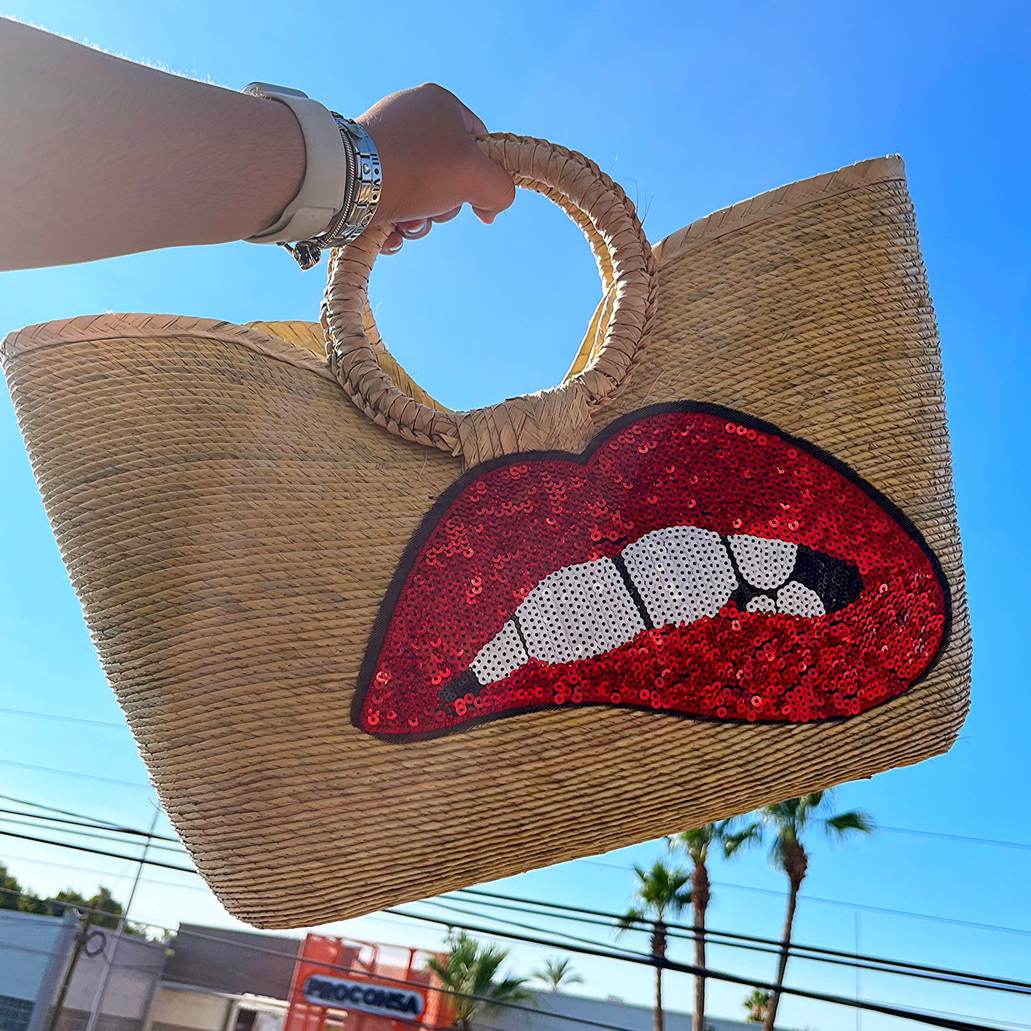 Bolso Marietas Grande